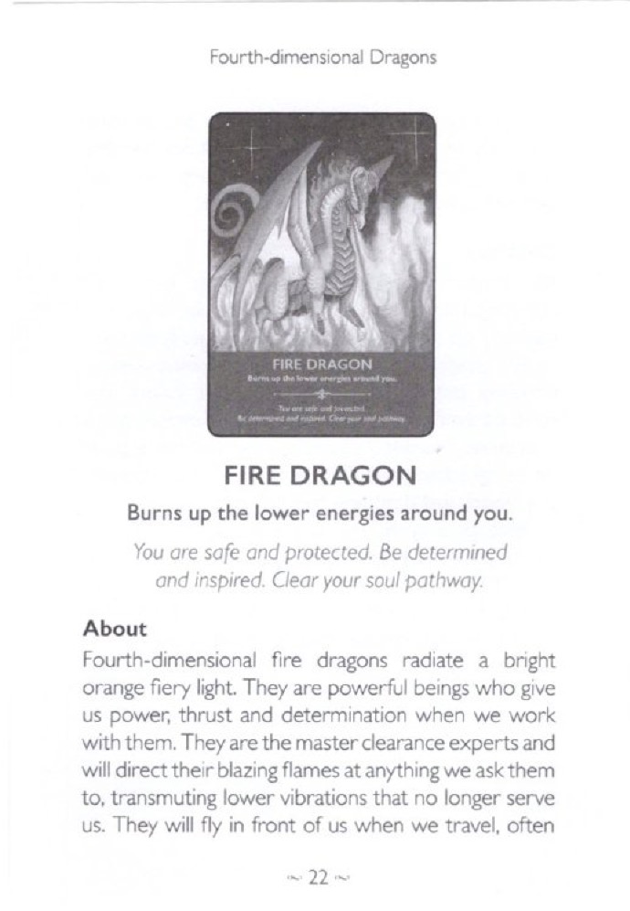 Fire Dragon image